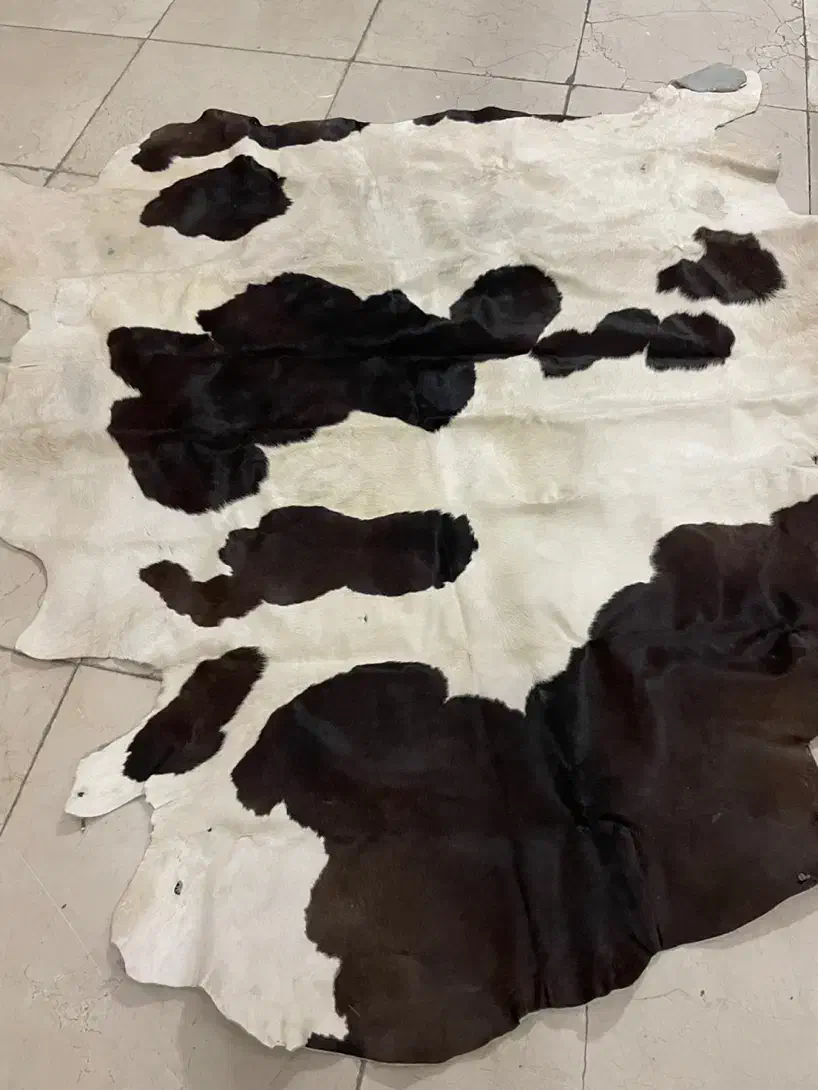 پوست|صنایع دستی و سایر لوازم تزئینی|تهران, تهرانپارس شرقی|دیوار