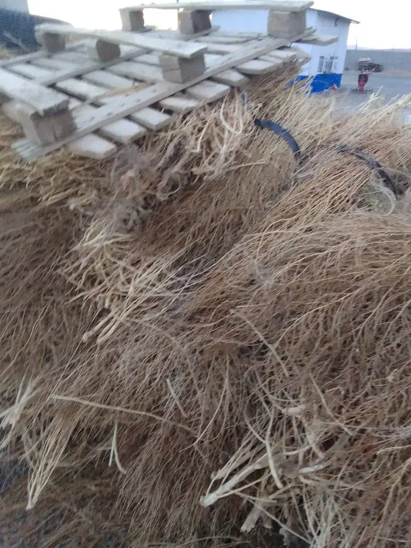 فروش گسکی شاری|لوازم نظافت|سقز, |دیوار