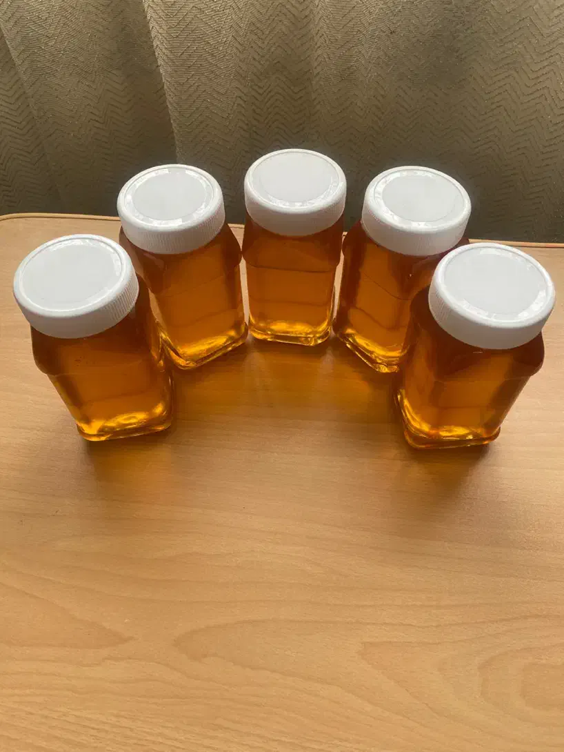 عسل طبیعی ارگانیک با برگه آزمایشگاه|خوردنی و آشامیدنی|قوچان, |دیوار