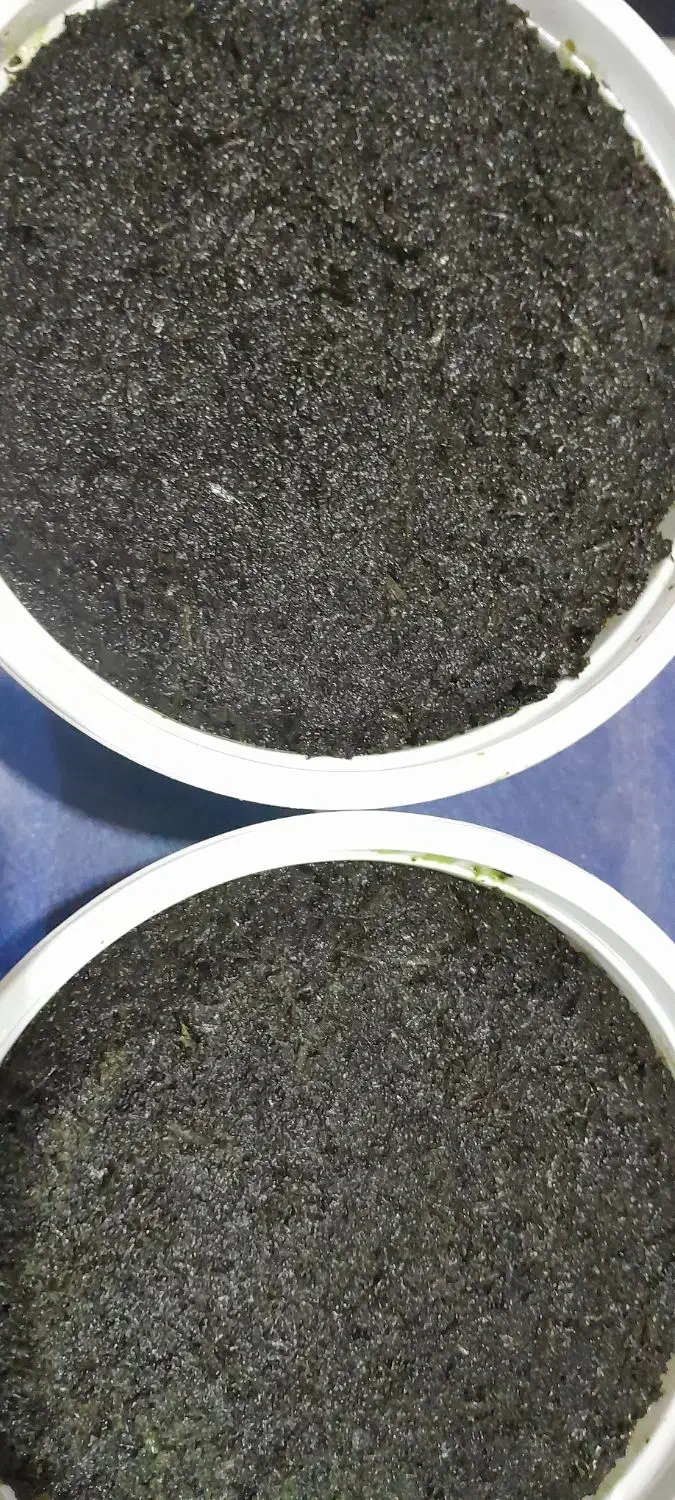 محصولات خانگی سبزی پیاز|خوردنی و آشامیدنی|کوچصفهان, |دیوار