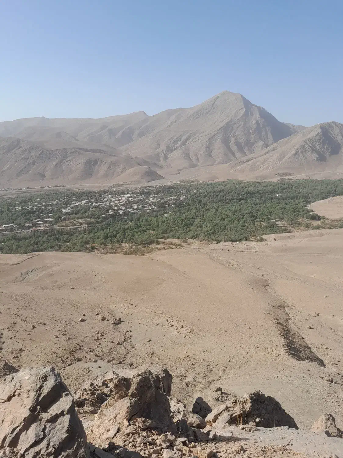 زمین باغی|فروش زمین و ملک کلنگی|برزک, |دیوار