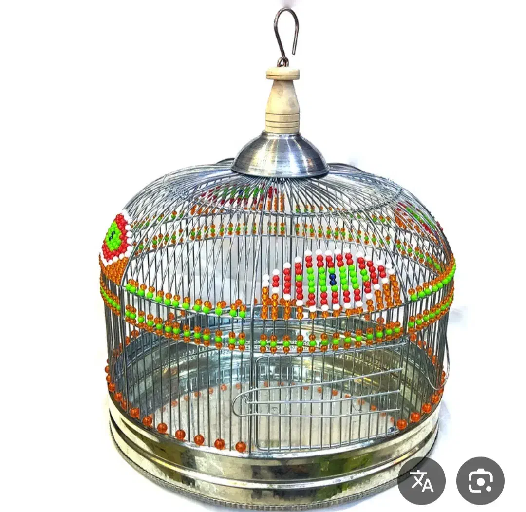 سهره بخون شاه تخم|پرنده|قم, باغ کرباسی|دیوار