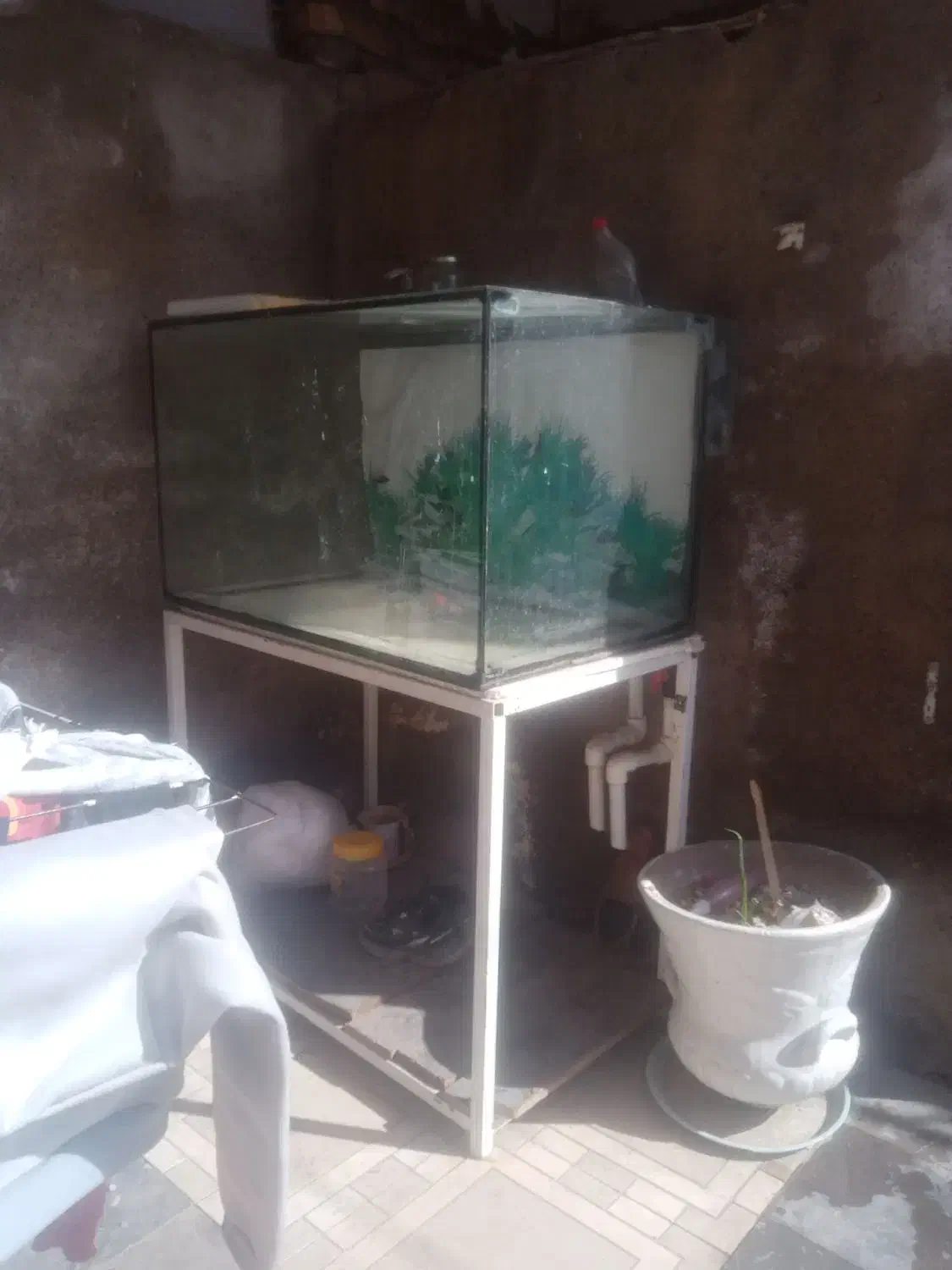 اکواریوم|ماهی|نیشابور, مازول|دیوار