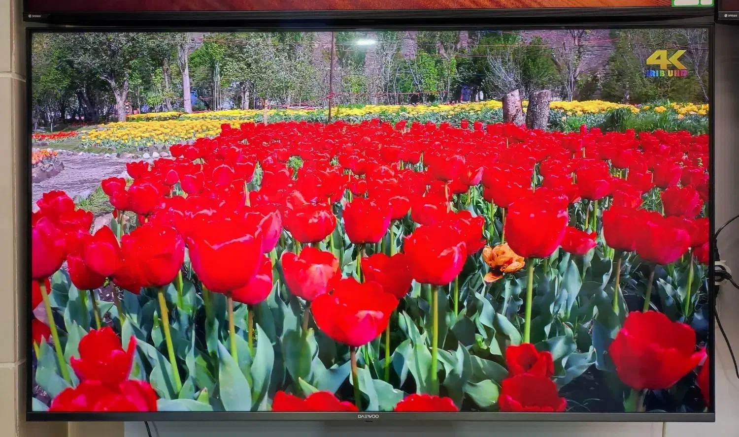 تلویزیون ۵۵ اینچ|تلویزیون و پروژکتور|اقبالیه, |دیوار