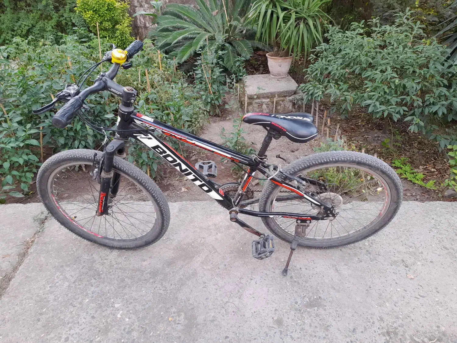 سایز بیست و چهار|دوچرخه، اسکیت، اسکوتر|رشت, جانبازان|دیوار