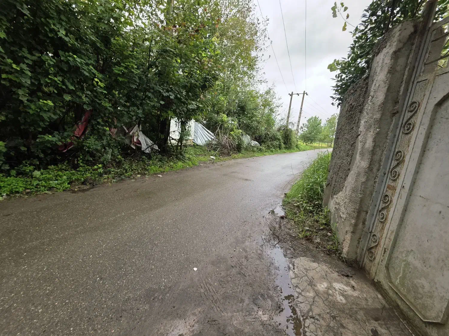 کدشخم/زمین مسکونی ۳۰۰متربرآسفالت بامجوزکوچصفهان|فروش زمین و ملک کلنگی|خشکبیجار, |دیوار