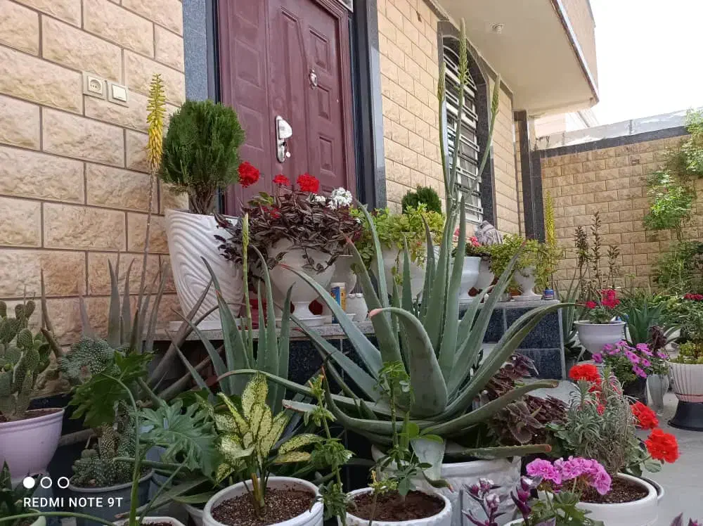 خانه ویلایی سه خواب|اجارهٔ خانه و ویلا|لار, |دیوار