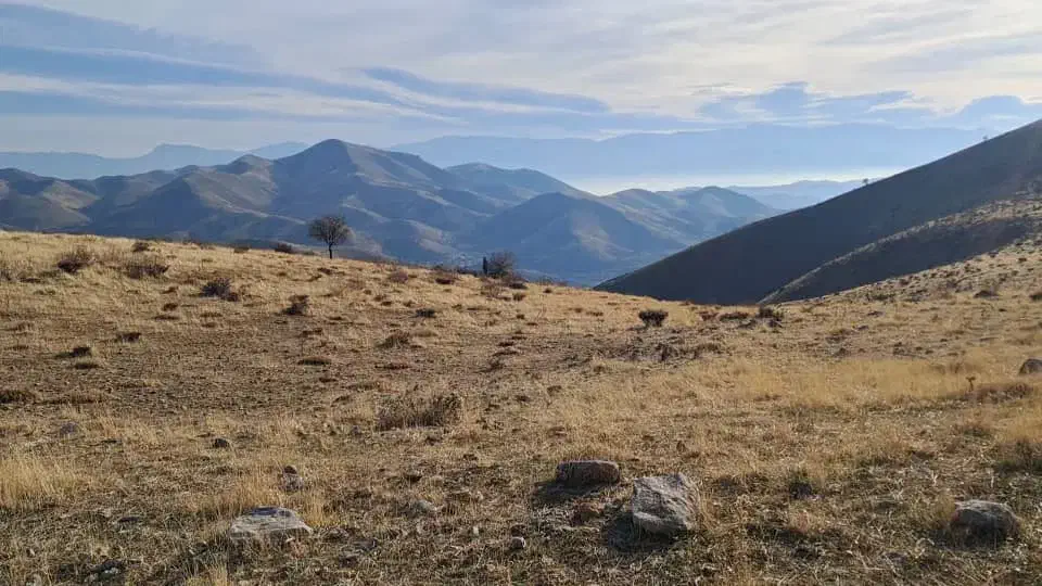 نیازمند تاکسی اجاره ای|خودرو اجارهای|سنندج, |دیوار