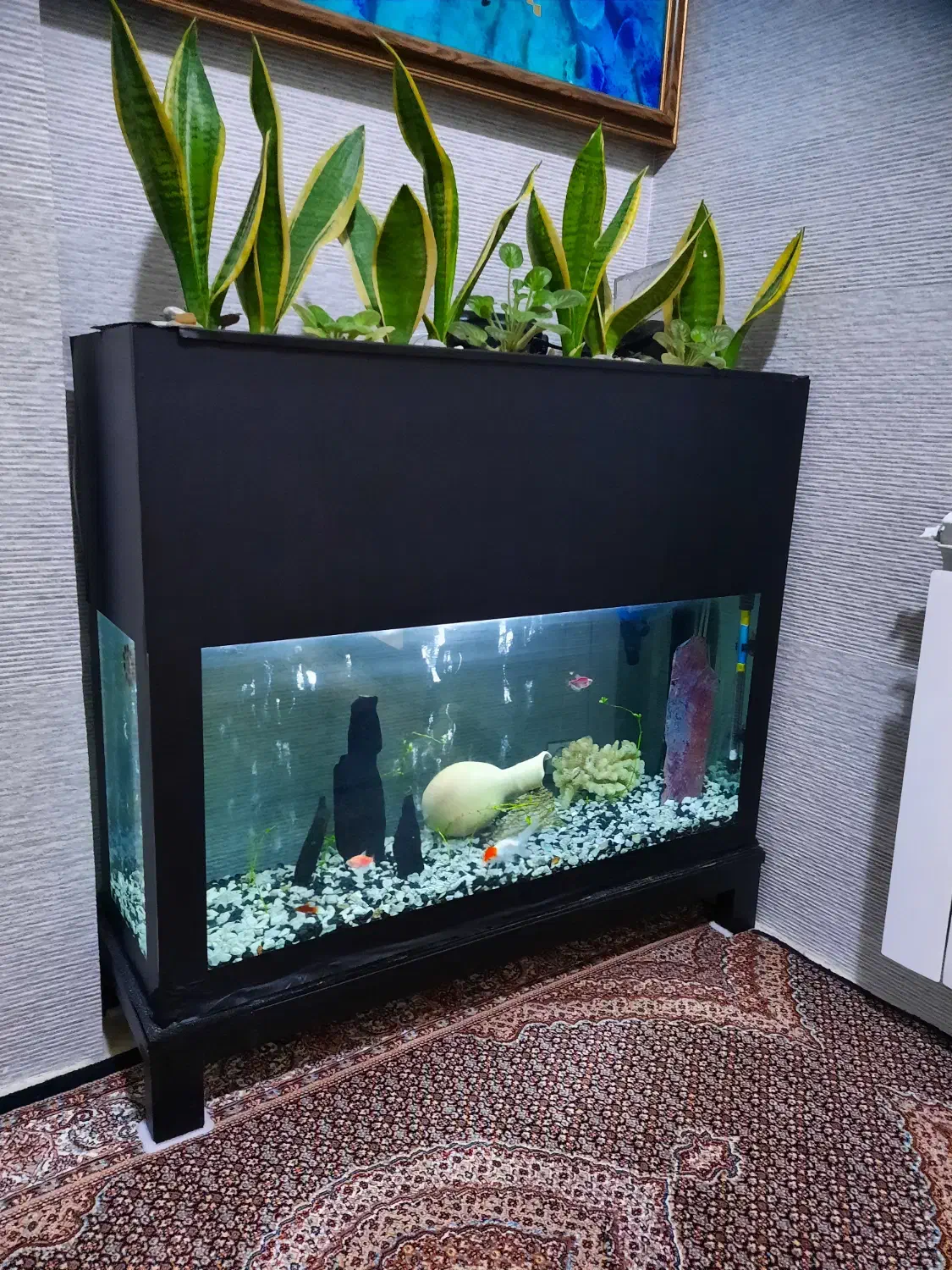 آکواریم|ماهی|بناب, |دیوار