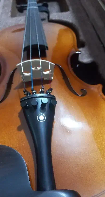 ویولن|ویولن|کرج, رجبآباد|دیوار