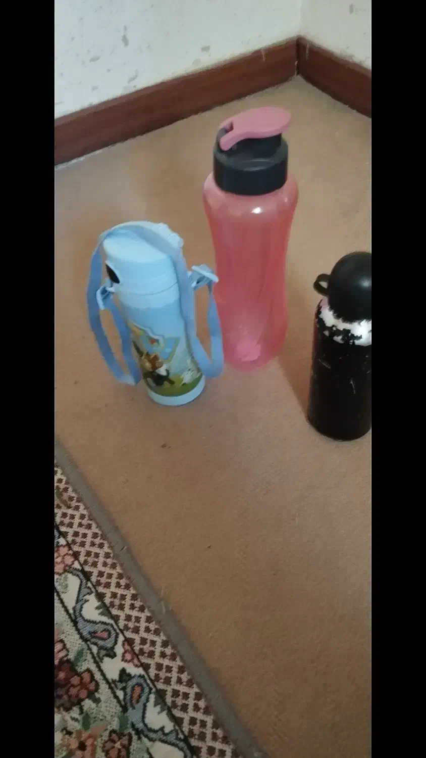 قمقمه 3عدد است سالم هستن وتمیز|ظروف نگهدارنده، پلاستیکی، یک‌بارمصرف|صدرا-فارس, فاز ۲|دیوار