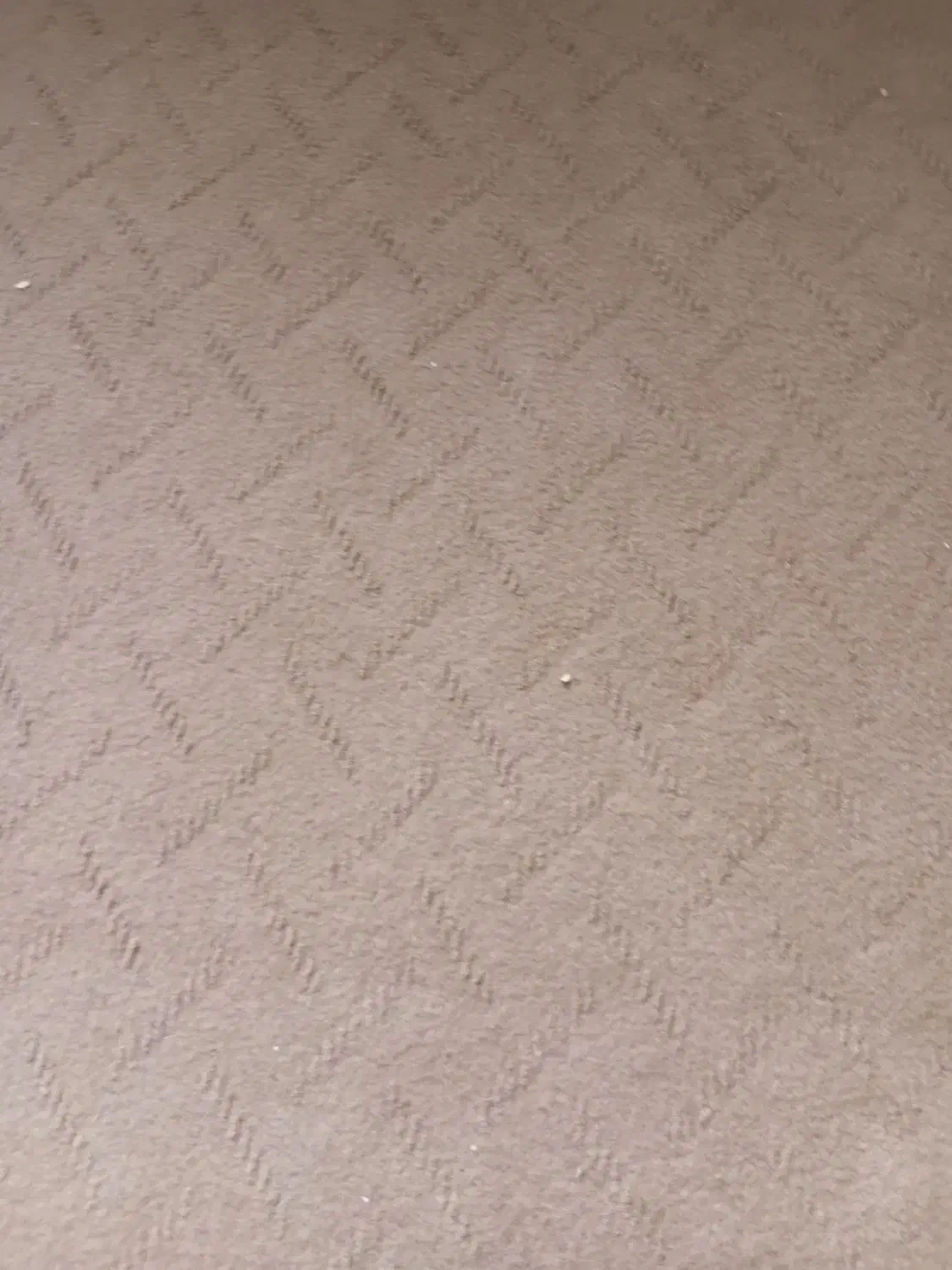 موکت قالی کلیم فرش|موکت|شهرکرد, |دیوار