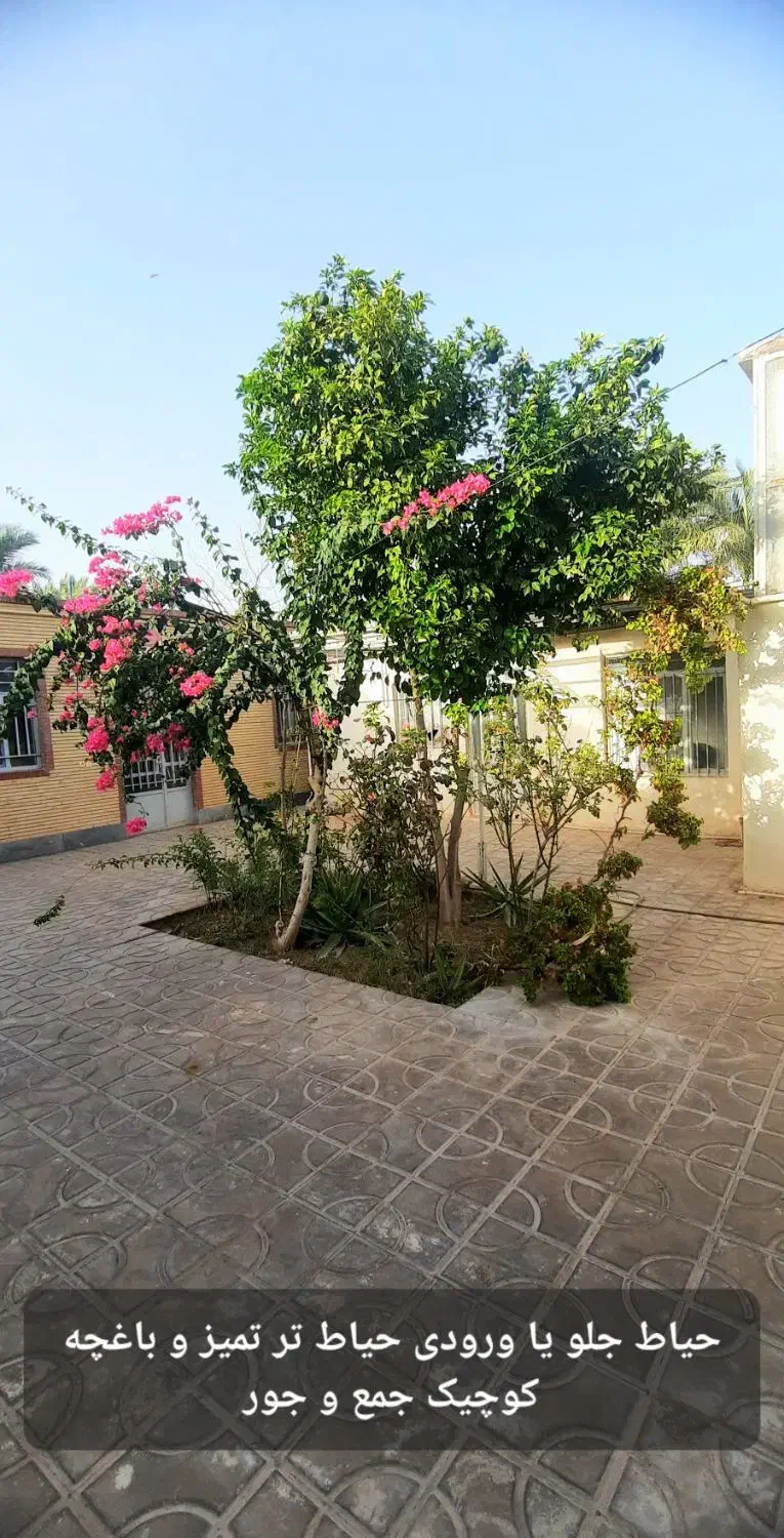 ویلایی ۲ خواب، ۵۲۶متر زمین میدان فرمانداری|فروش خانه و ویلا|بم, |دیوار