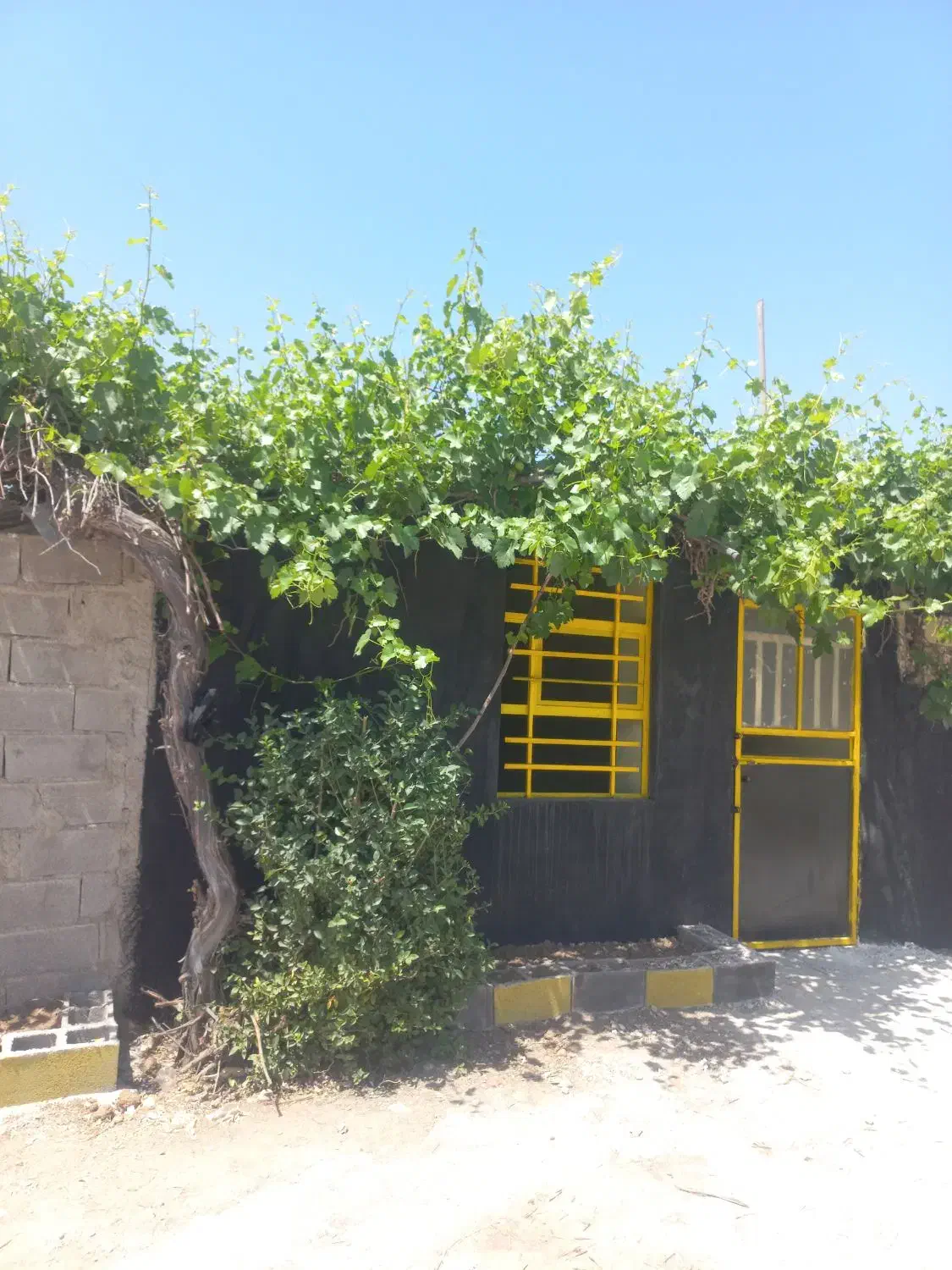 یک باب مغازه|اجارهٔ مغازه و غرفه|یاسوج, |دیوار