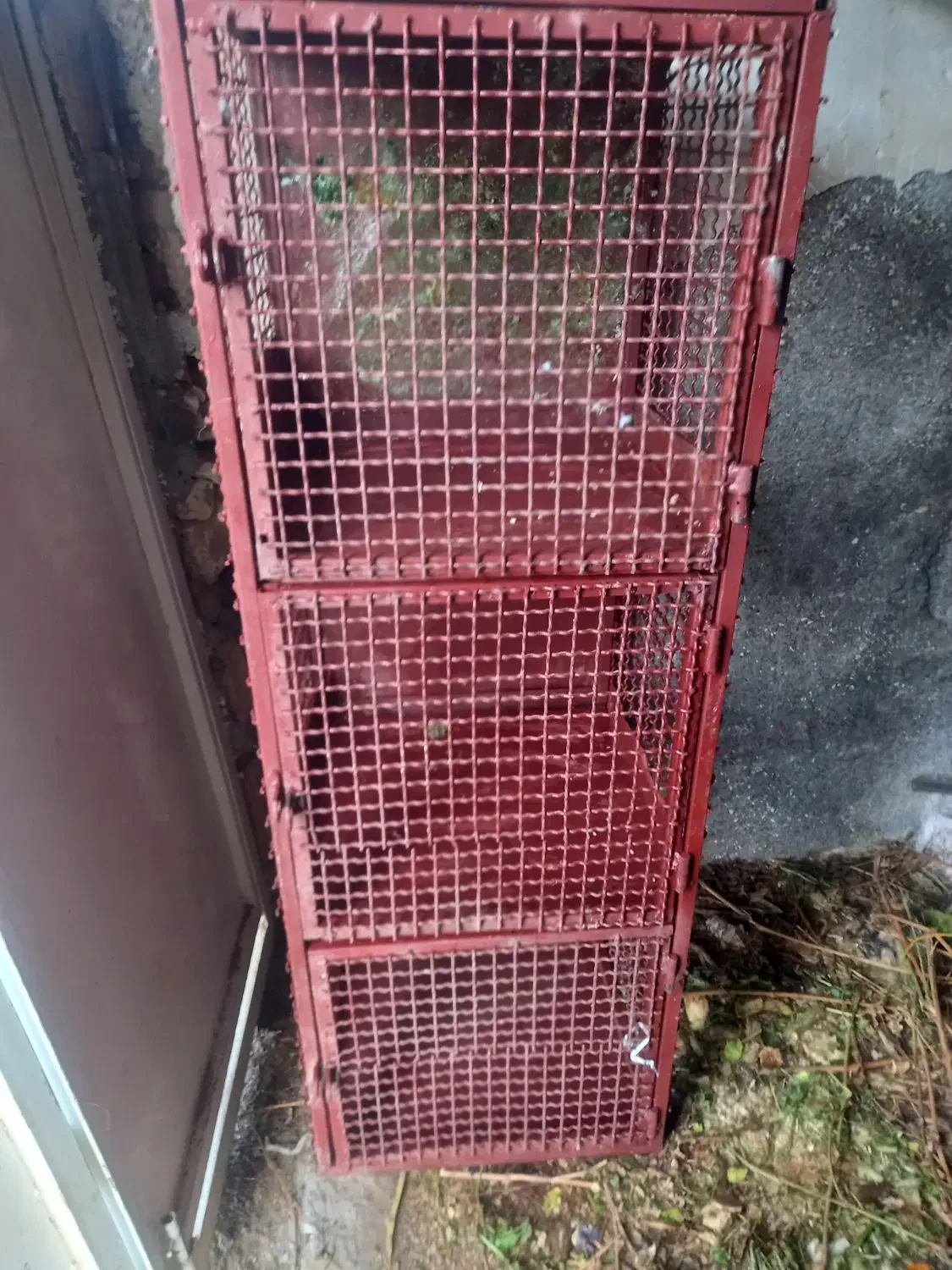 قفس۵۰در۵۰|لوازم جانبی حیوانات|سبزوار, طبرسی (جعفرآباد)|دیوار