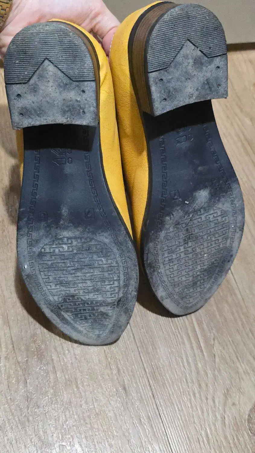 کفش چرم / چرمی|کیف، کفش، کمربند|گرگان, |دیوار