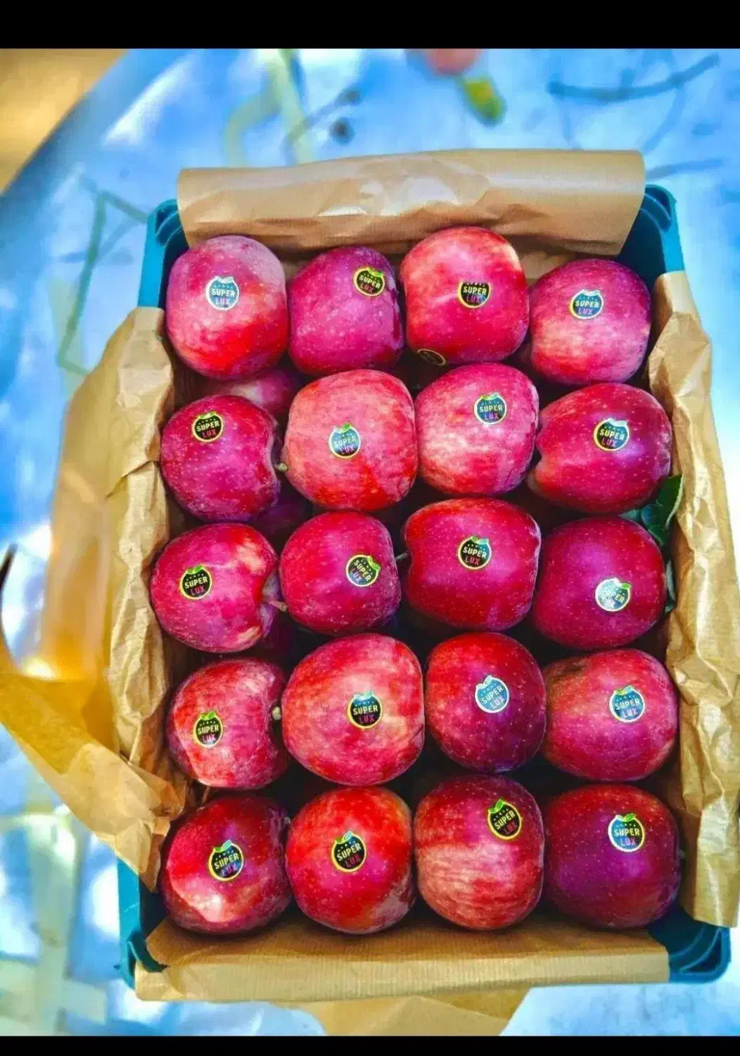 3بب|حراج|مهاباد (آذربایجان غربی), |دیوار