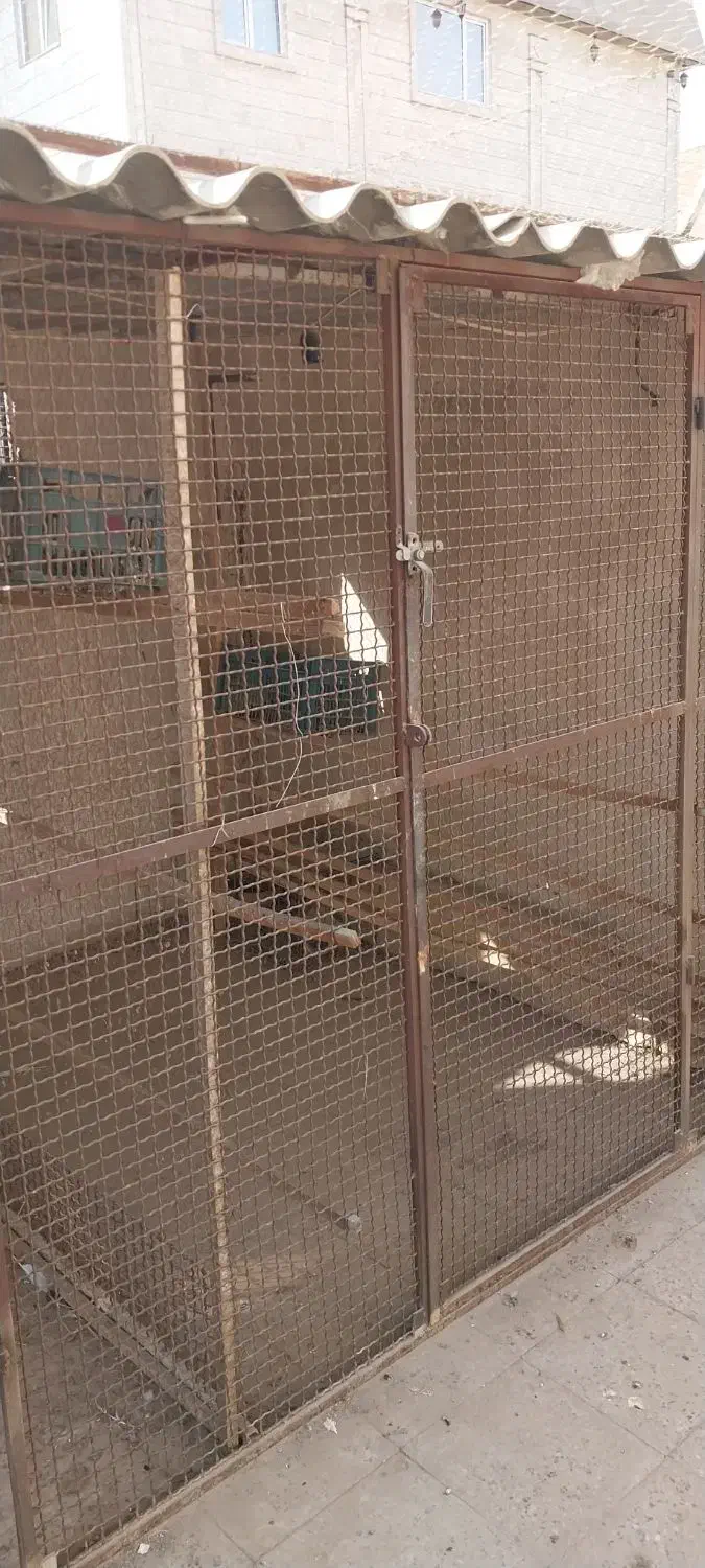 گنجه کبوتر|لوازم جانبی حیوانات|ری, حمزه‌آباد|دیوار