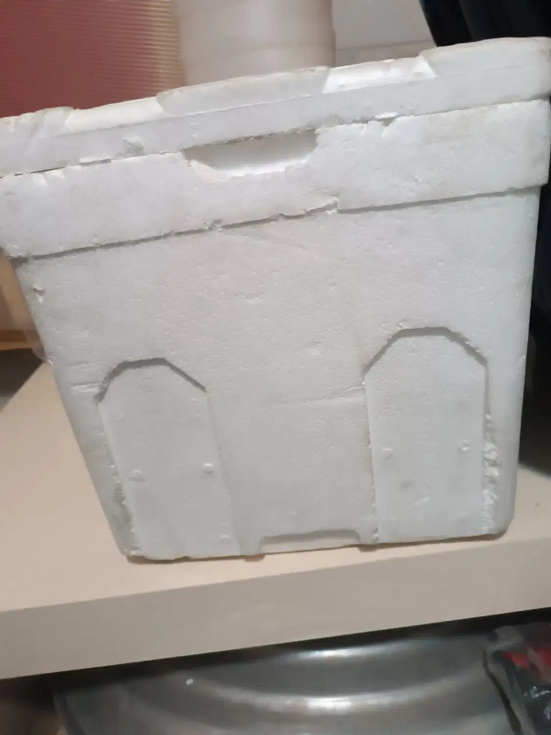 یخدان مسافرتی|ظروف نگهدارنده، پلاستیکی، یک‌بارمصرف|قزوین, |دیوار