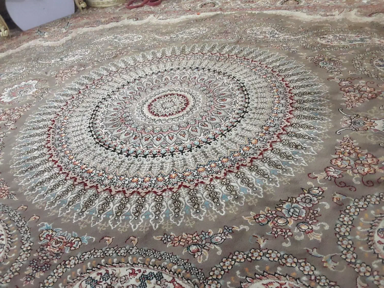 دوتا‌فرش‌۱۲متری‌۷۰۰ شونه‌تراکم‌۲۵۰۰ نگین‌مشهد|فرش|پاکدشت, پاکدشت (مامازند)|دیوار