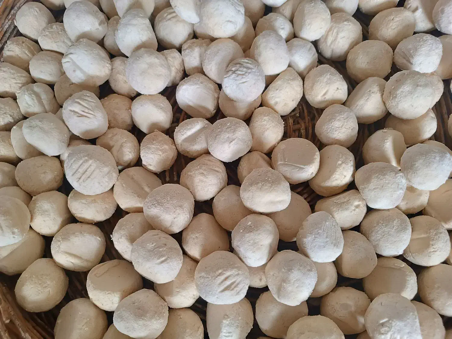 برای اولین بار در بم|حراج|بم, |دیوار