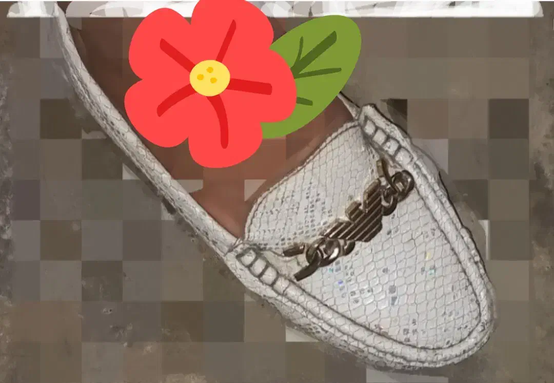 کالج|کیف، کفش، کمربند|آستانه اشرفیه, |دیوار