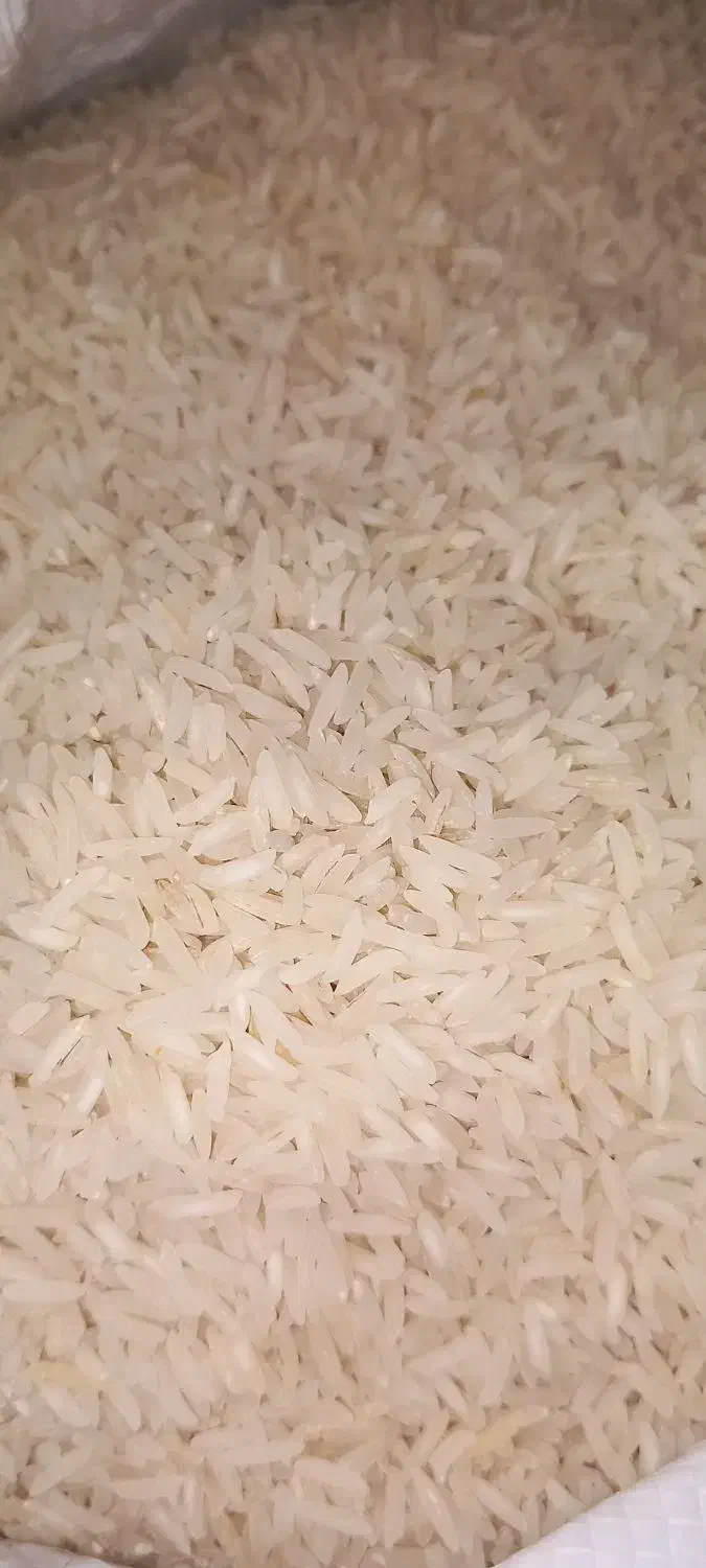 برنج فجرگرگان کیلویی ۱۷۰تومن|عمدهفروشی|چمستان, |دیوار