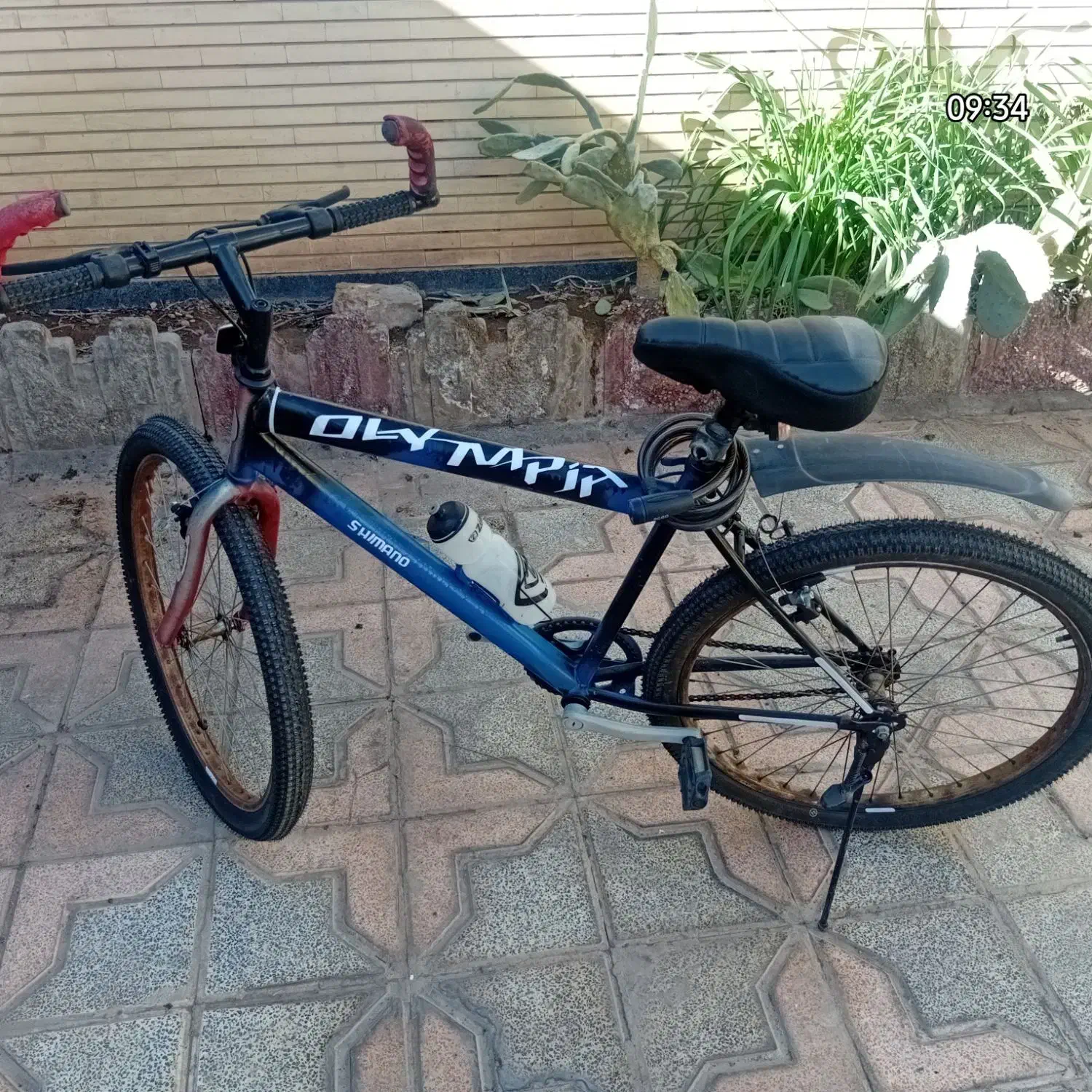 دوچرخه ۲۶ المپیا|دوچرخه، اسکیت، اسکوتر|کرمان, |دیوار