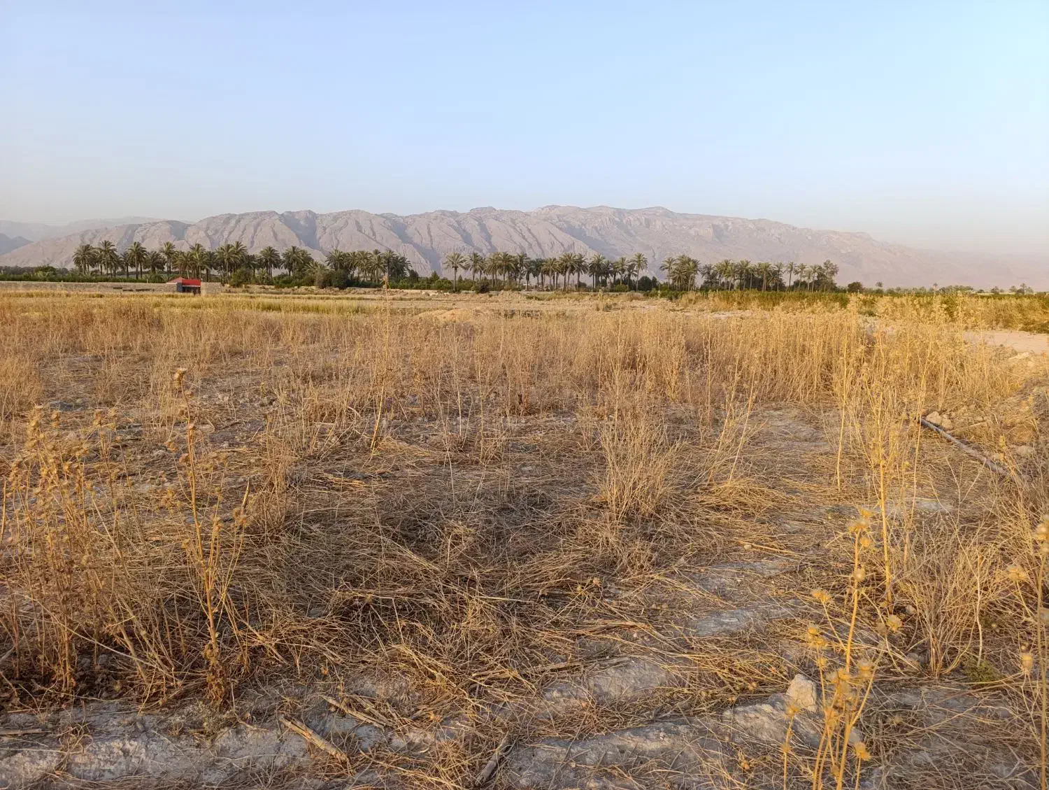 1400 متر زمین|فروش دفتر صنعتی، کشاورزی، تجاری|کازرون, |دیوار