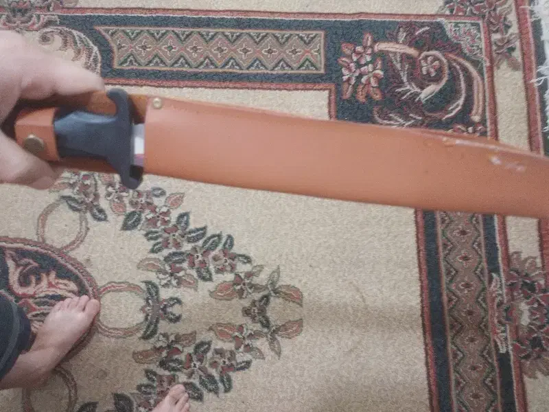 حراج حراج|حراج|گرگان, |دیوار