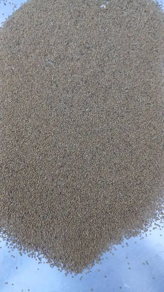 بذر|گل و گیاه طبیعی|لالجین, |دیوار