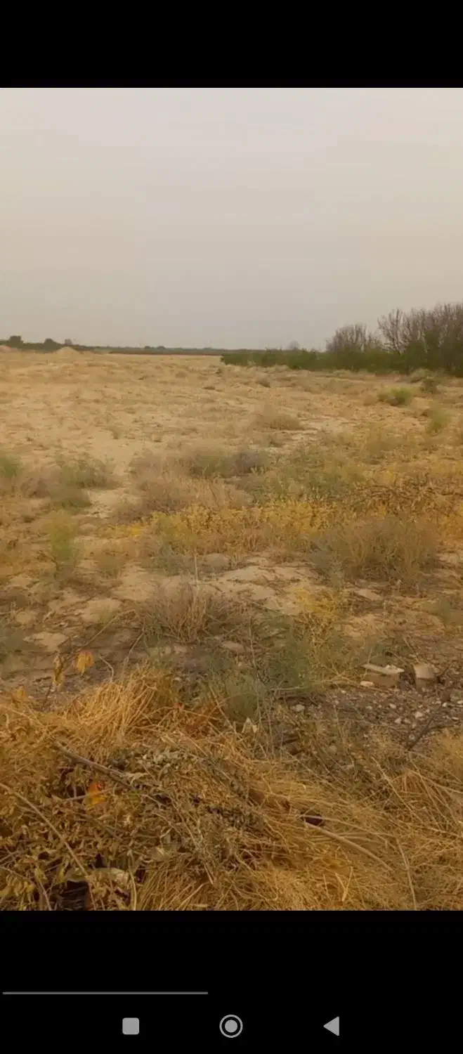 فروش یا معاوضه زمین با آب چاه موتور|فروش زمین و ملک کلنگی|ساوه, |دیوار