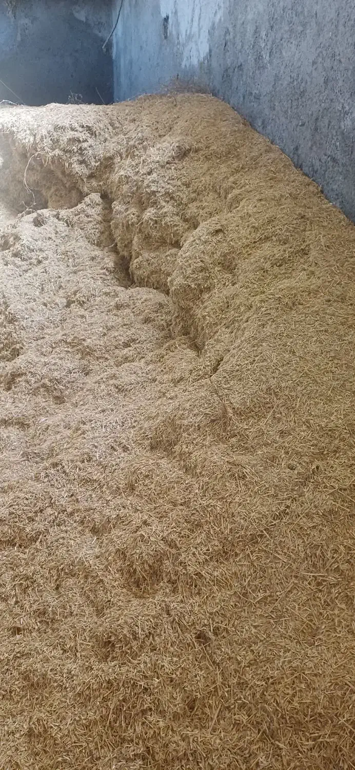 کاه کوبیده گندم|لوازم جانبی حیوانات|انبارآلوم, |دیوار