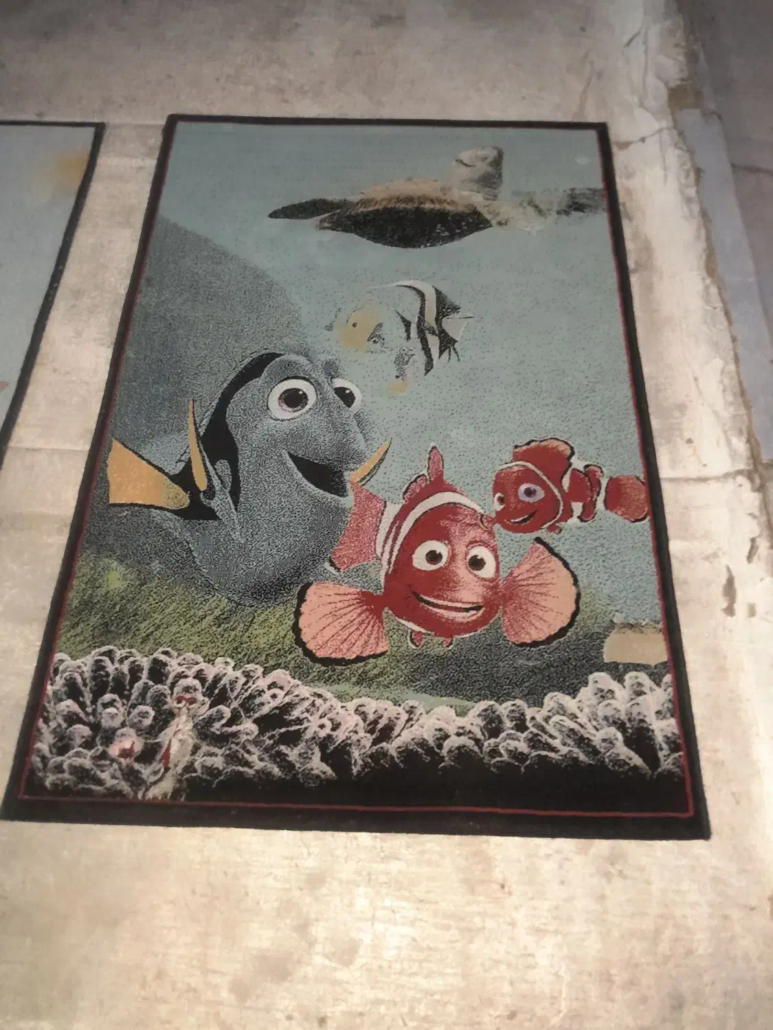 فرش اتاق کودک|فرش|کرج, بنیاد|دیوار