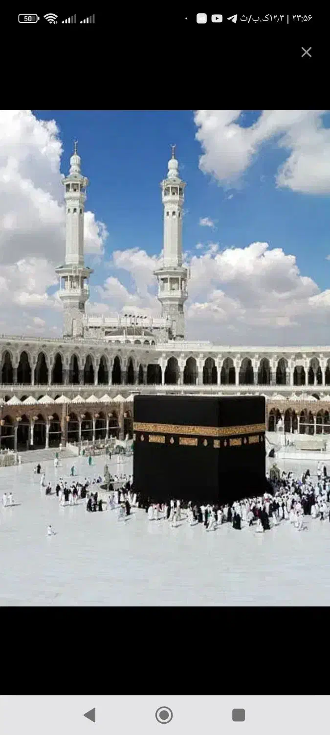 فیش حج|تور و چارتر|ری, سرتخت|دیوار