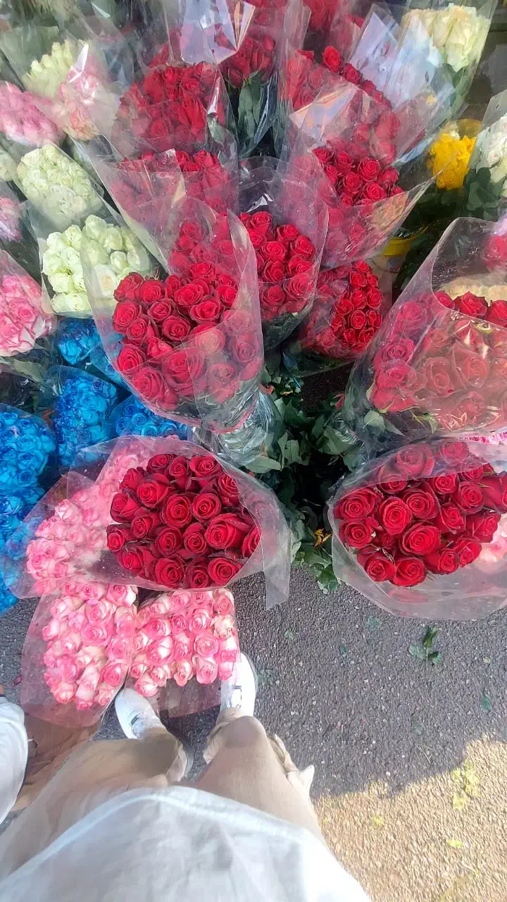 گل داوودی و رز هلندی و گلایل|گل و گیاه طبیعی|ری, بازار گل خاوران|دیوار