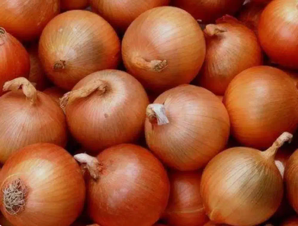 پیاز زرد درجه 1|حراج|قوچان, |دیوار