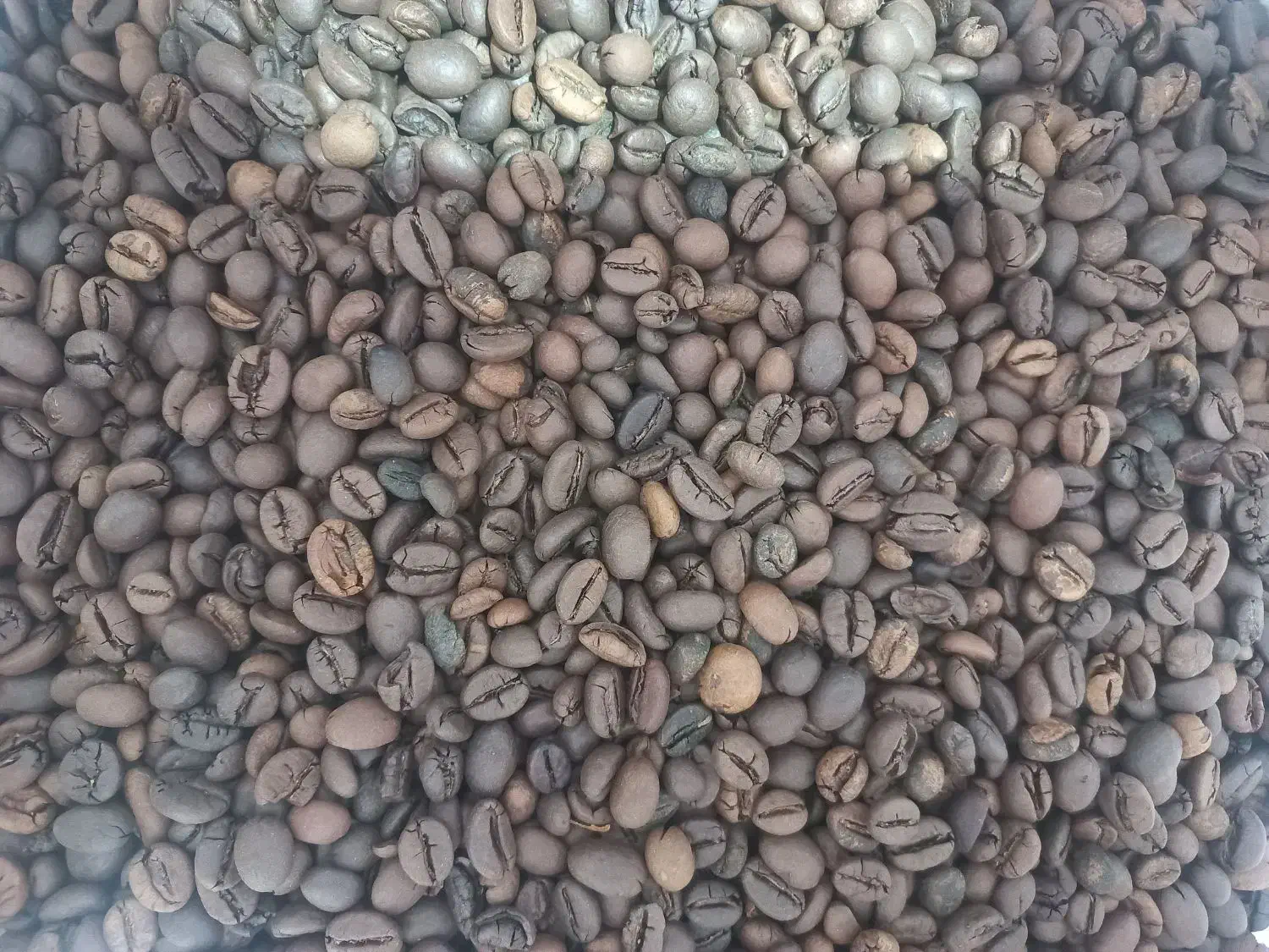 استخدام کارگر خانم و اقا|استخدام صنعتی، فنی، مهندسی|شهرضا, |دیوار