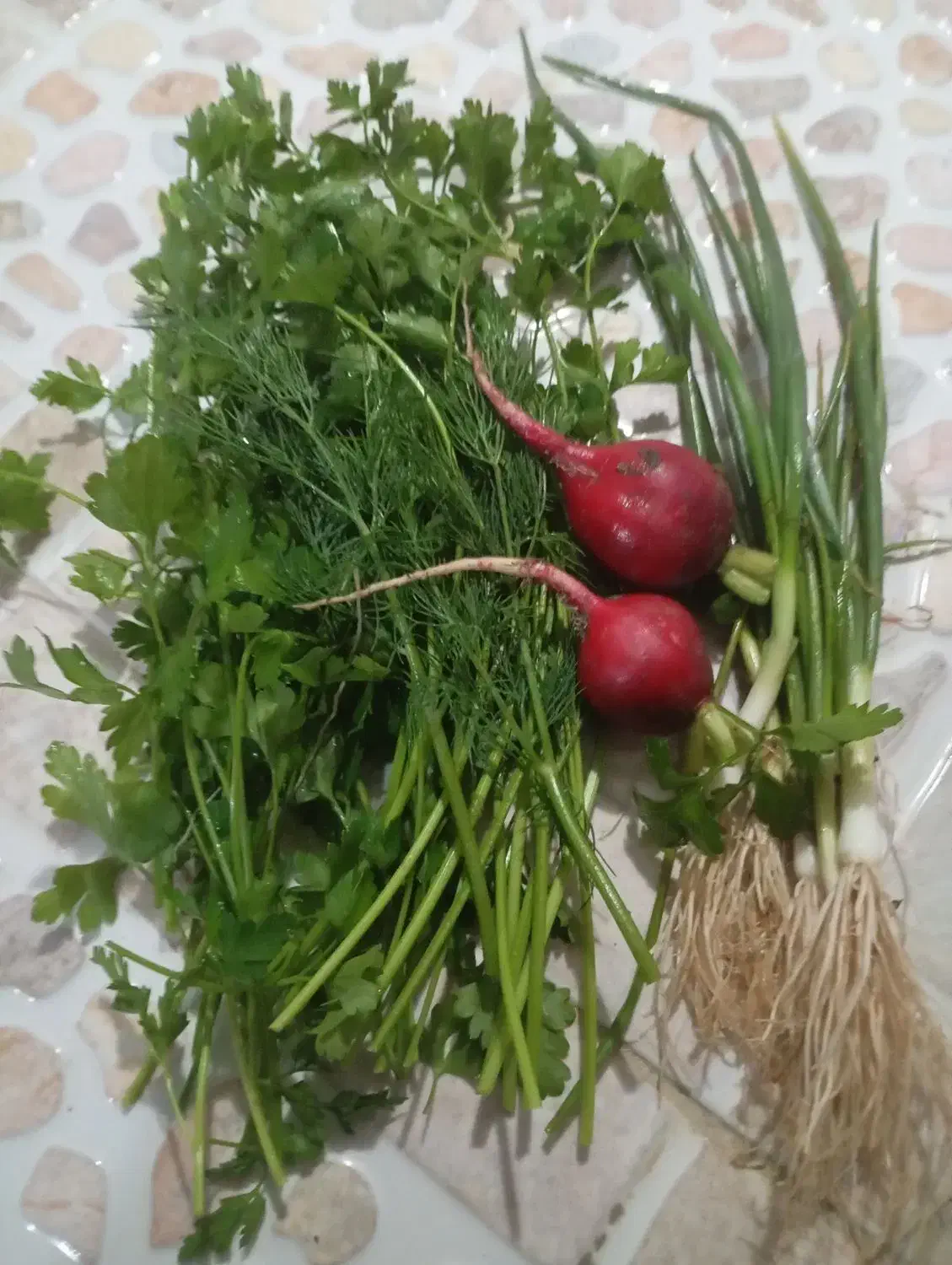 سفارش انواع سبزی جات|خوردنی و آشامیدنی|آق قلا, |دیوار