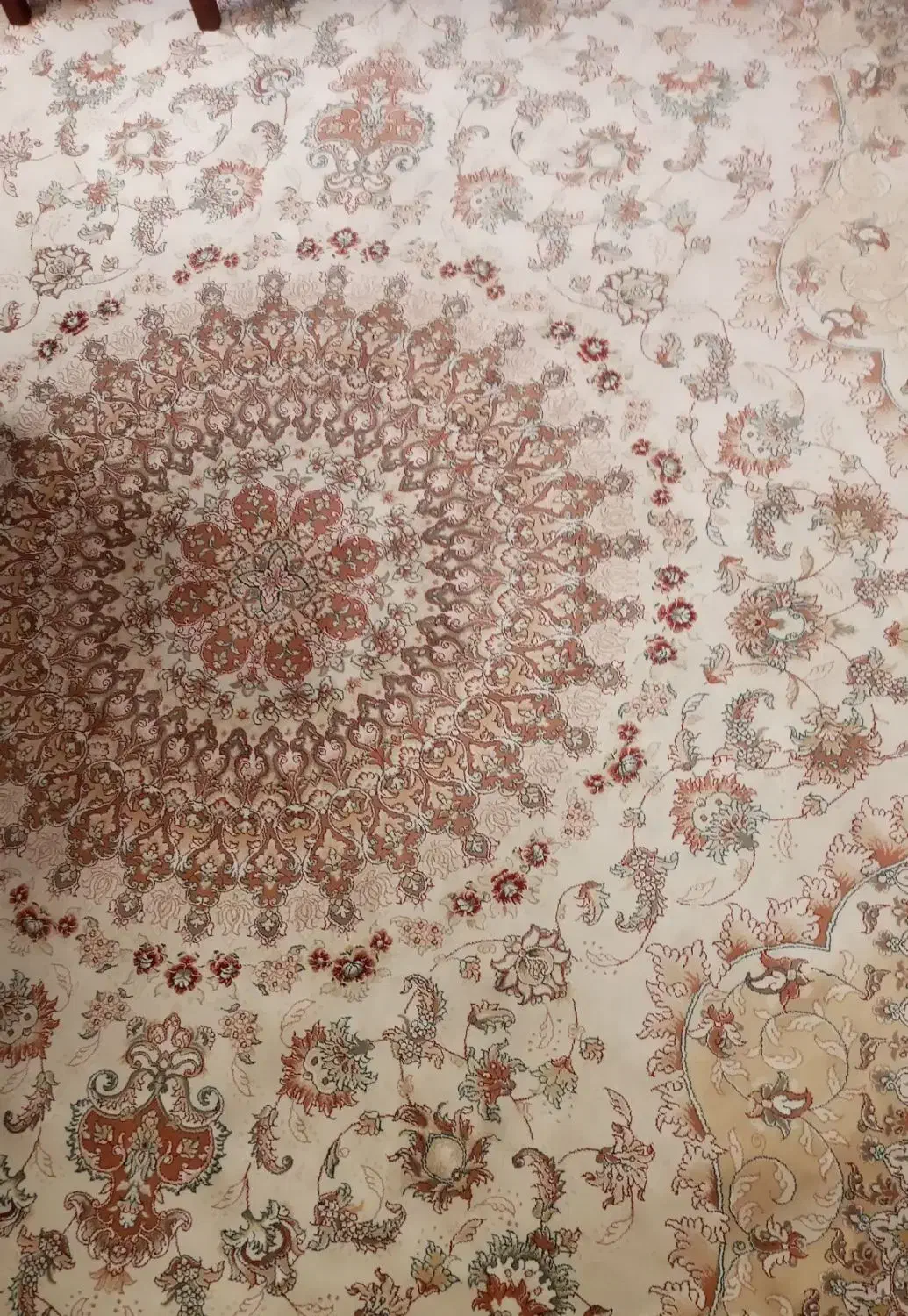 فرش ۱۲ متری|فرش|همدان, |دیوار