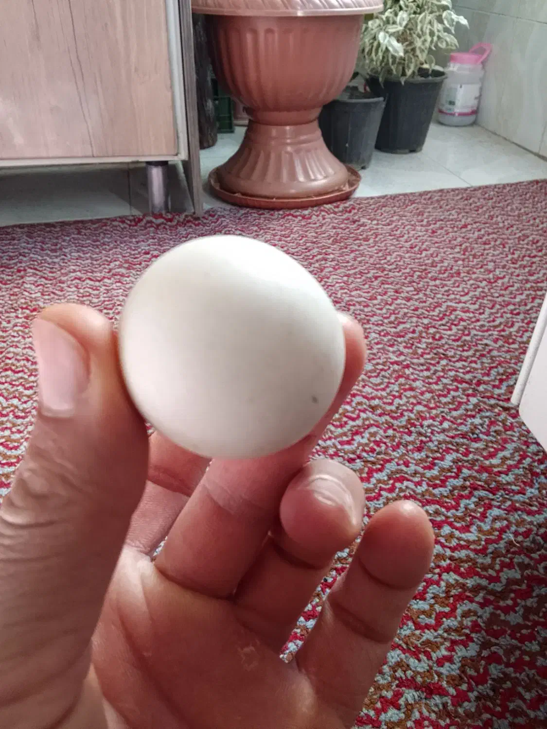 یک عدد سنگ الماس اسیاب|جواهرات|بومهن, |دیوار