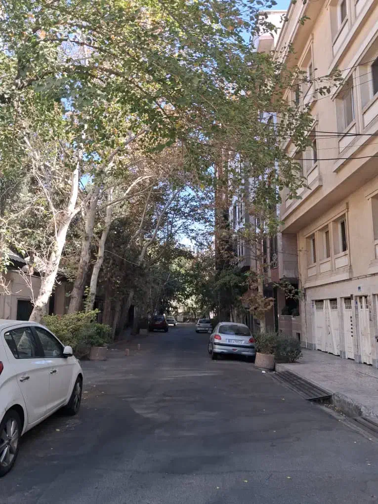 ۱۳۵ متر ظفر گرانترین زمین ظفر ۵۰ تومن فقط با ۲۰|فروش آپارتمان|تهران, میرداماد|دیوار