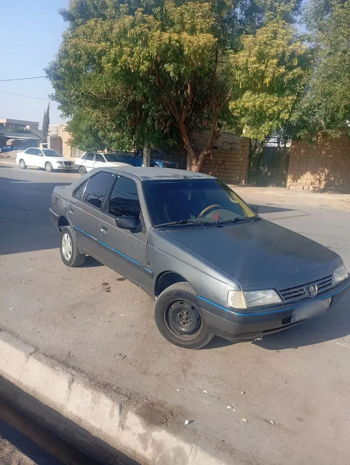 405مدل93اخرسه لکه رنگ قیمت مناسب 380دوگانه شرکت|خودرو سواری و وانت|دهدشت, |دیوار