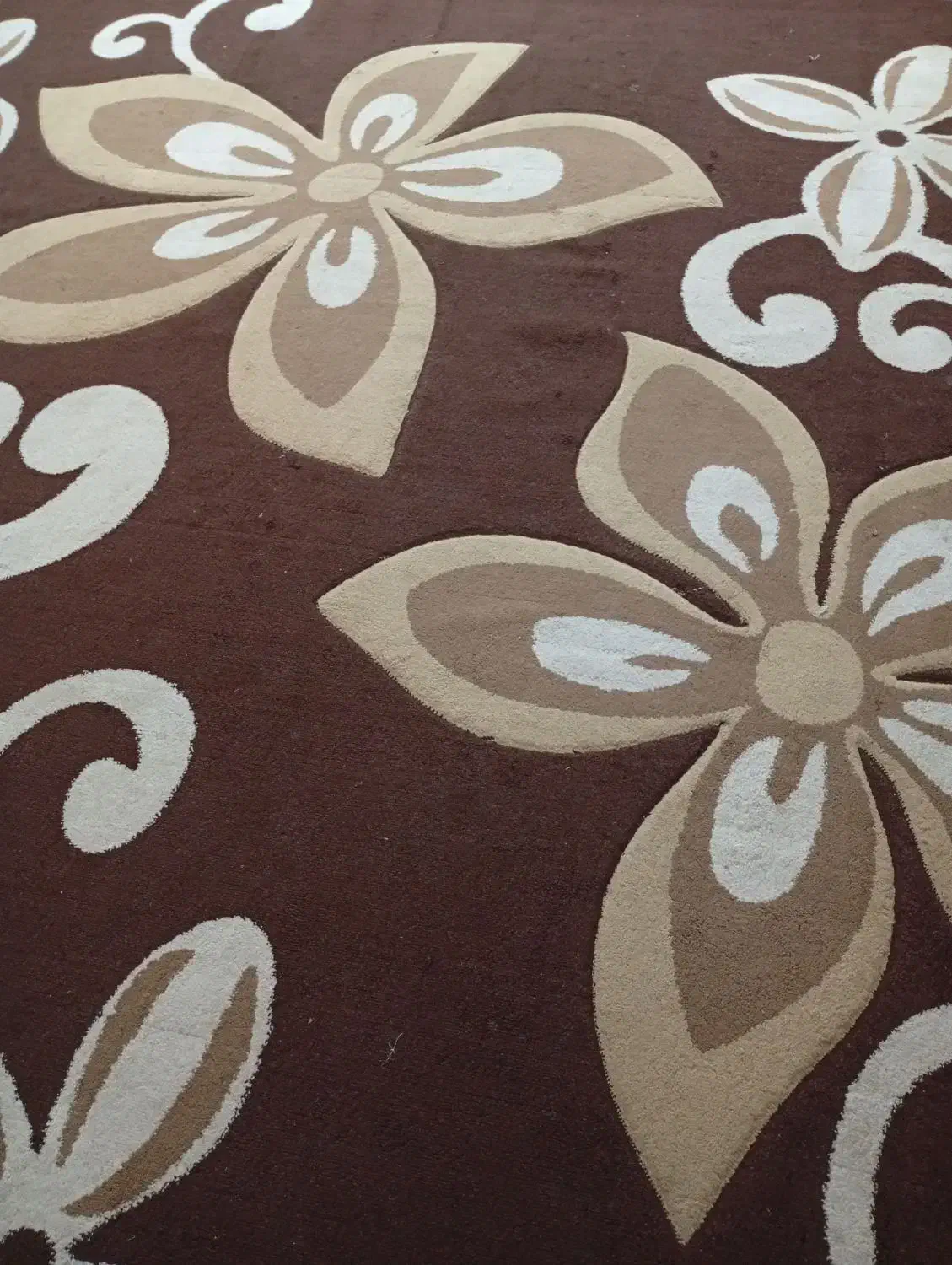 دوعدد گلیم فرش|فرش|بندر ماهشهر, |دیوار