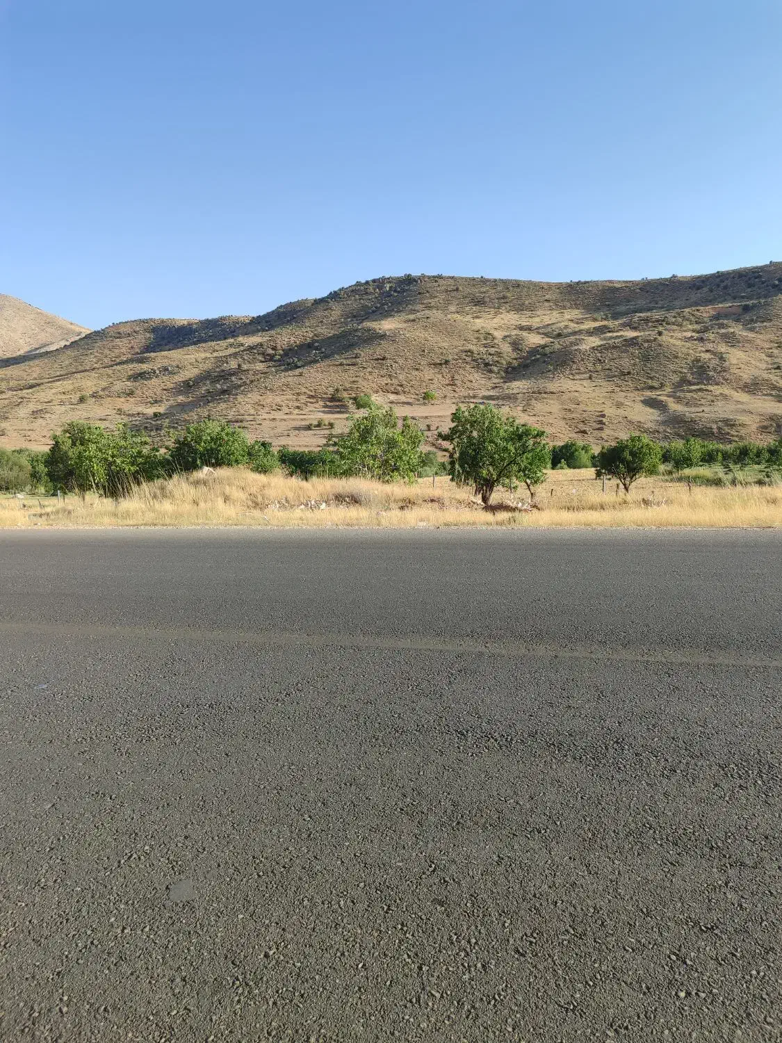 فروش فوری زمین چندمنظوره لب جاده پاتاوه-دهدشت|فروش زمین و ملک کلنگی|دهدشت, |دیوار