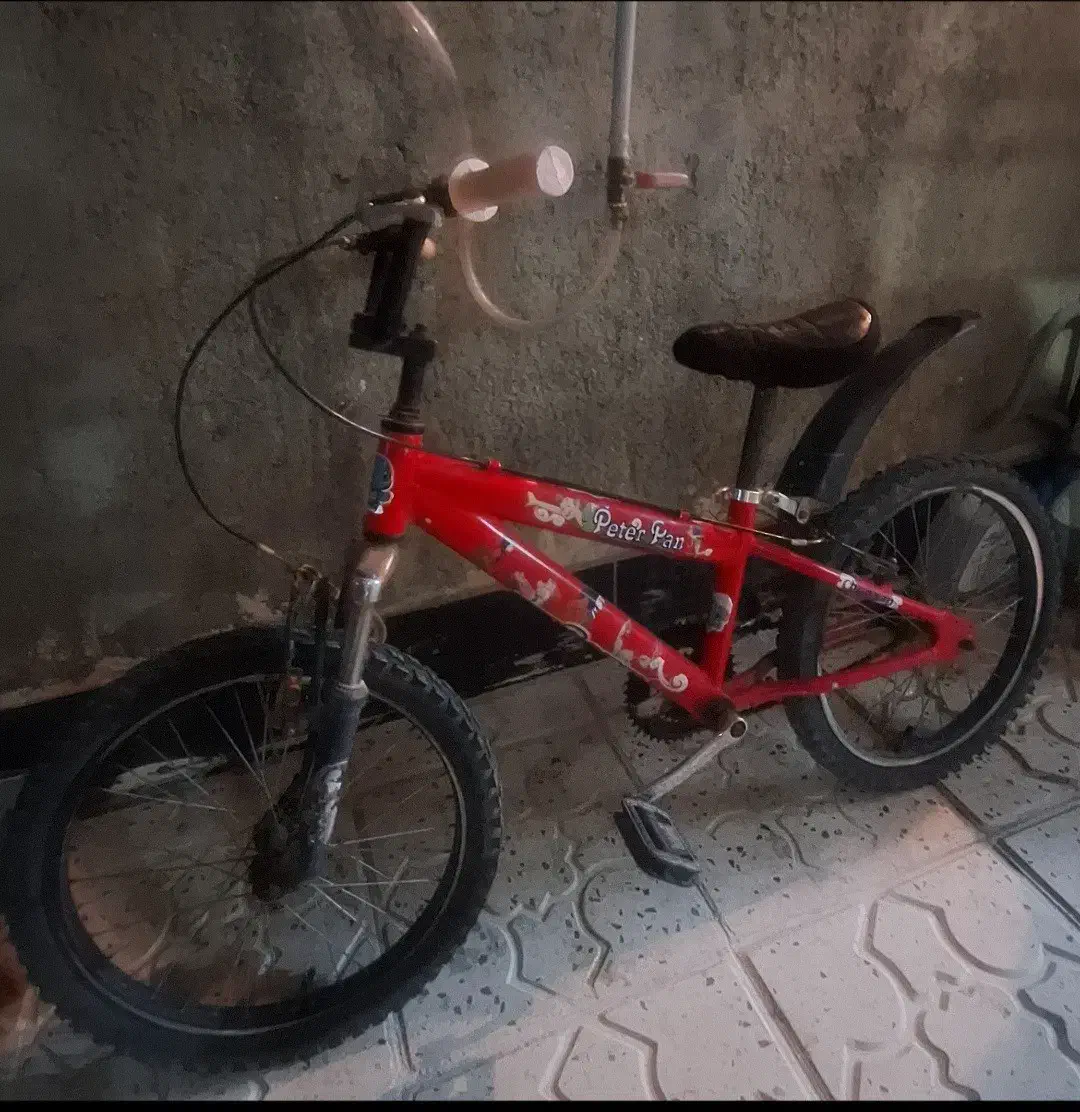 دوچرخه|دوچرخه، اسکیت، اسکوتر|هشتگرد, قاسم آباد بزرگ|دیوار