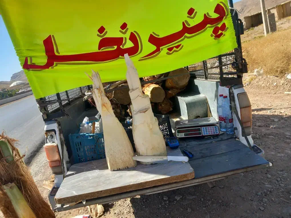 پنیر نخل درجه ۱|خوردنی و آشامیدنی|شیراز, معالیآباد|دیوار