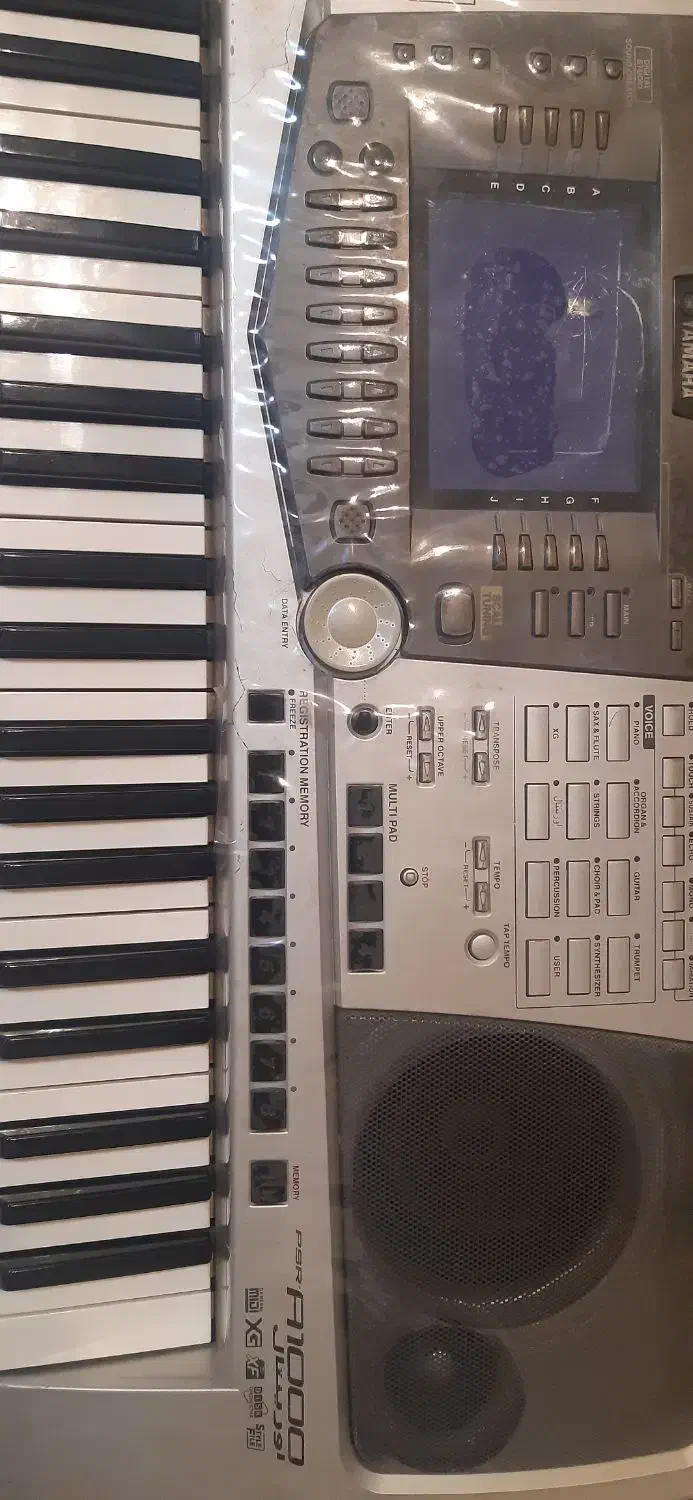 ارگ یاماها|پیانو، کیبورد، آکاردئون|اهواز, فرهنگ شهر|دیوار