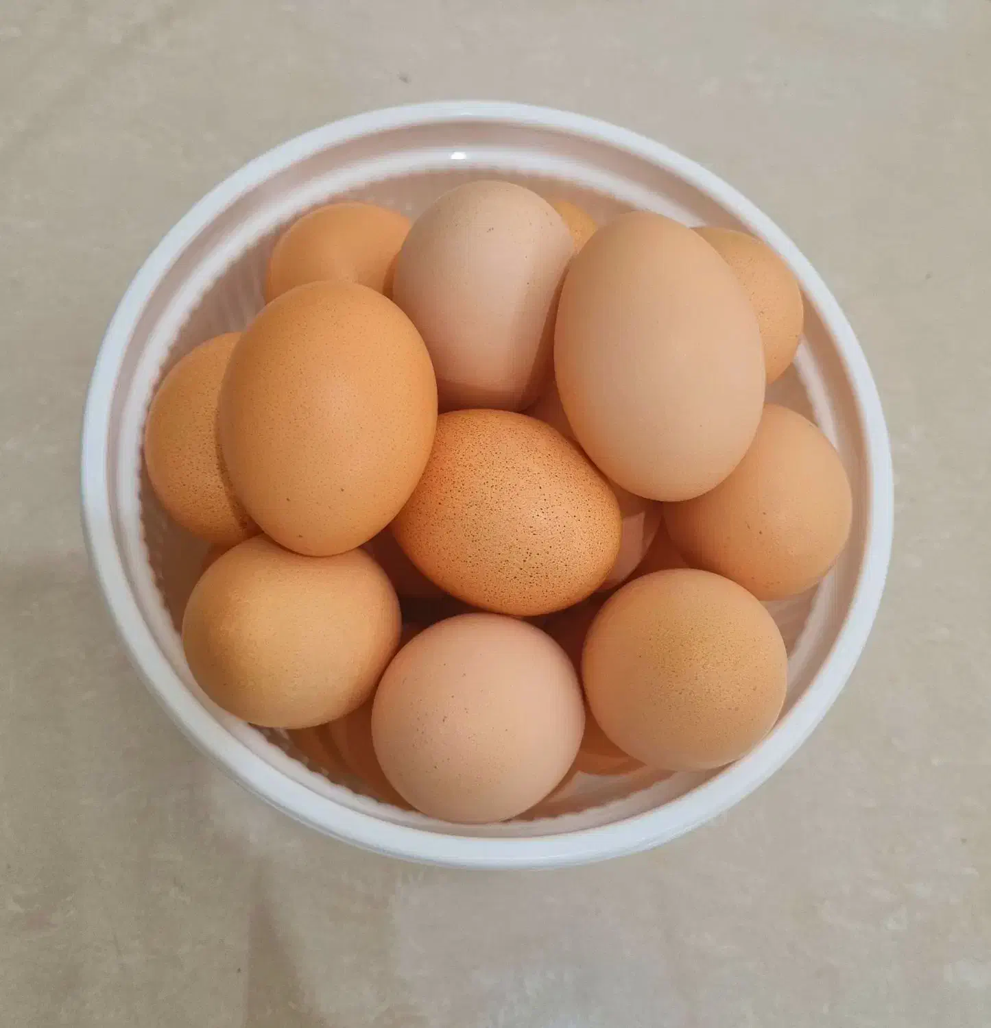 تخم مرغ رسمی|خوردنی و آشامیدنی|قم, باغ کرباسی|دیوار