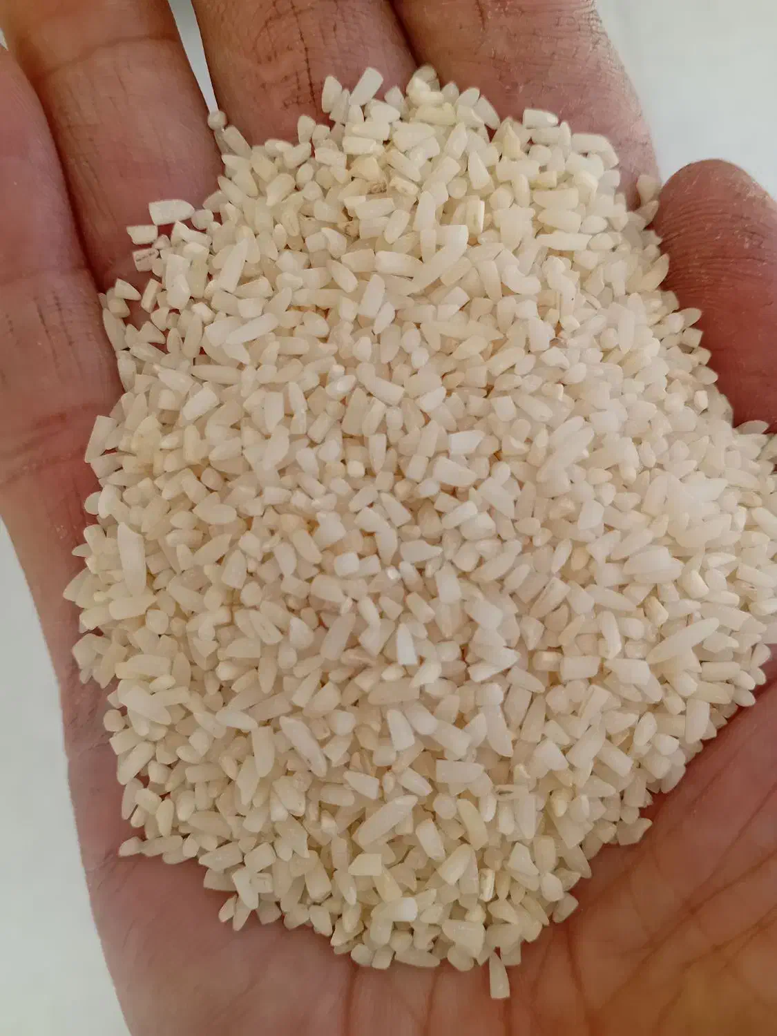 برنج لاشه نیمدانه هاشمی کم دودی|خوردنی و آشامیدنی|قزوین, |دیوار